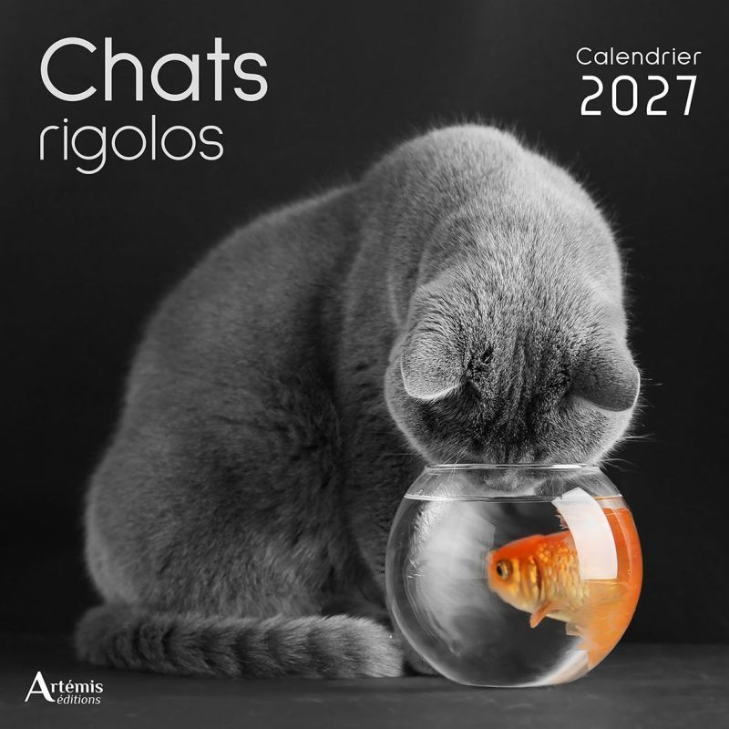 CALENDRIER CHATS RIGOLOS 2027 de Jardinerie Bordeaux Libourne Gironde dans C022