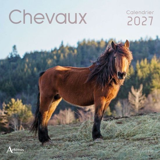 CALENDRIER CHEVAUX 2027 de Jardinerie Bordeaux Libourne Gironde dans C022