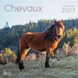 CALENDRIER CHEVAUX 2027 de Jardinerie Bordeaux Libourne Gironde dans C022