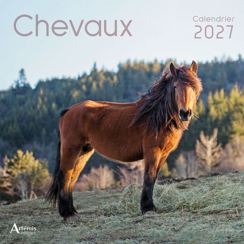 CALENDRIER CHEVAUX 2027 de Jardinerie Bordeaux Libourne Gironde dans C022