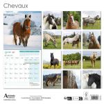 CALENDRIER CHEVAUX 2027 de Jardinerie Bordeaux Libourne Gironde dans C022
