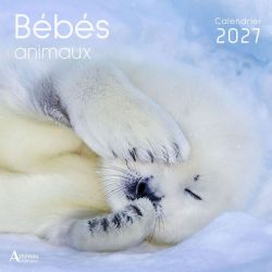 CALENDRIER BEBES ANIMAUX 2027 de Jardinerie Bordeaux Libourne Gironde dans C022