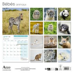 CALENDRIER BEBES ANIMAUX 2027 de Jardinerie Bordeaux Libourne Gironde dans C022