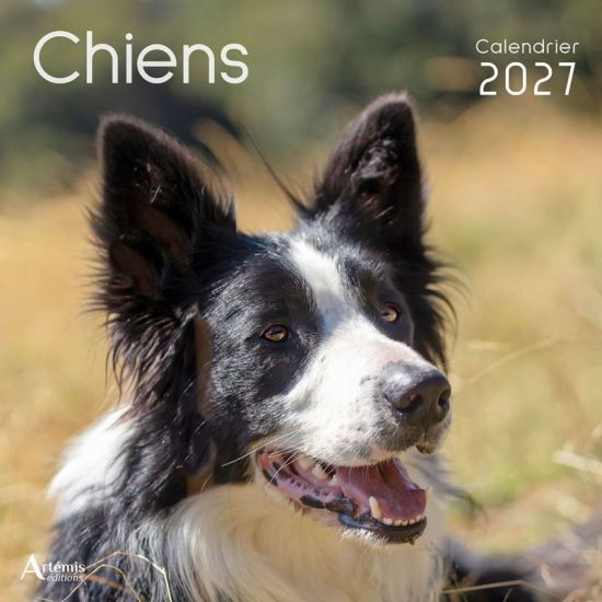 CALENDRIER CHIENS 2027 de Jardinerie Bordeaux Libourne Gironde dans C022