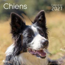 CALENDRIER CHIENS 2027 de Jardinerie Bordeaux Libourne Gironde dans C022