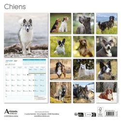 CALENDRIER CHIENS 2027 de Jardinerie Bordeaux Libourne Gironde dans C022