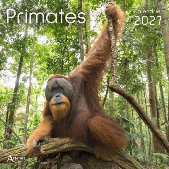 CALENDRIER PRIMATES 2027 de Jardinerie Bordeaux Libourne Gironde dans C022