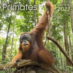 CALENDRIER PRIMATES 2027 de Jardinerie Bordeaux Libourne Gironde dans C022