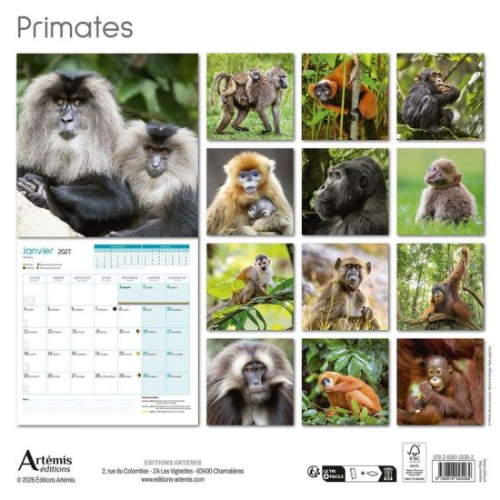 CALENDRIER PRIMATES 2027 de Jardinerie Bordeaux Libourne Gironde dans C022