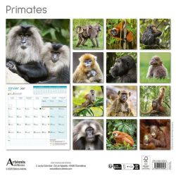 CALENDRIER PRIMATES 2027 de Jardinerie Bordeaux Libourne Gironde dans C022