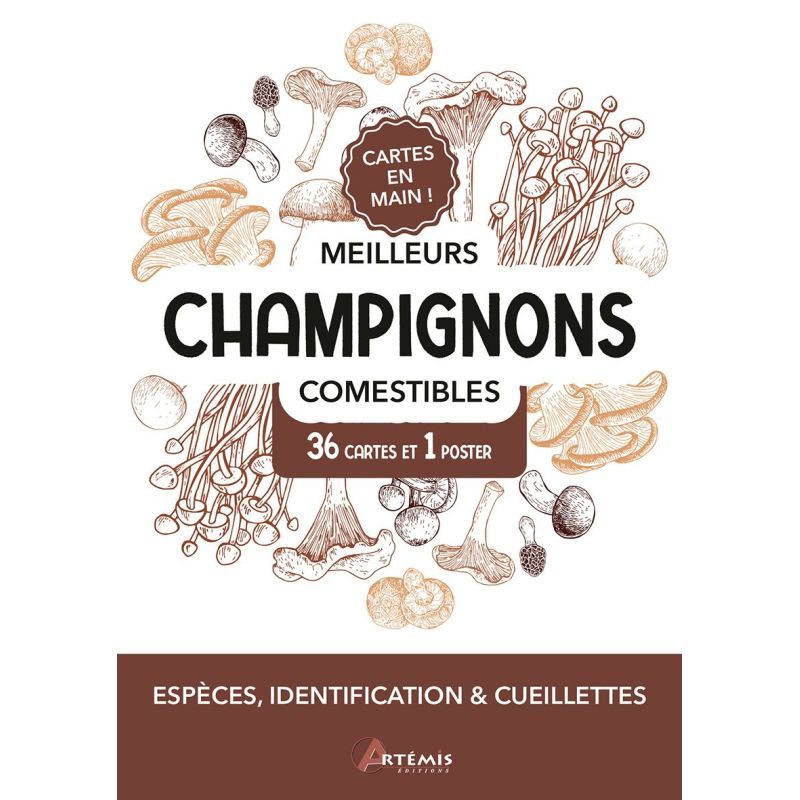 COFFRET MEILLEURS CHAMPIGNONS COMESTIBLES - 36 C de Jardinerie Bordeaux Libourne Gironde dans C022