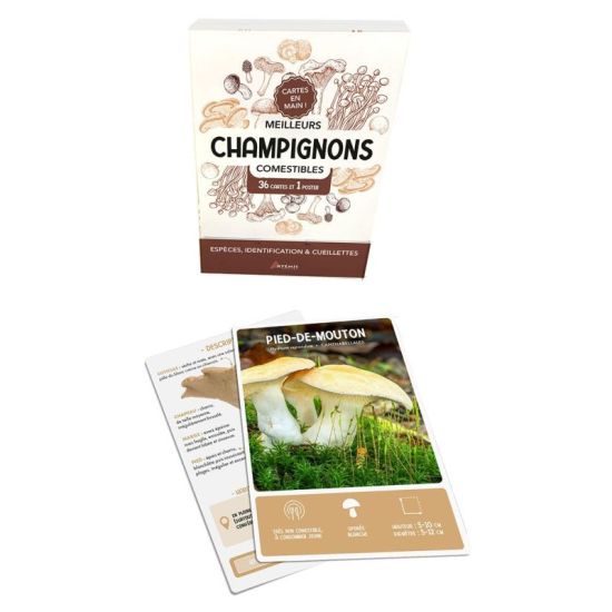 COFFRET MEILLEURS CHAMPIGNONS COMESTIBLES - 36 C de Jardinerie Bordeaux Libourne Gironde dans C022