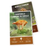 COFFRET MEILLEURS CHAMPIGNONS COMESTIBLES - 36 C de Jardinerie Bordeaux Libourne Gironde dans C022