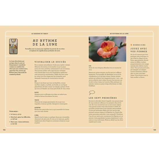 TAROT DE MARSEILLE GUIDE PRATIQUE ILLUSTRE de Jardinerie Bordeaux Libourne Gironde dans C022