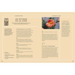 TAROT DE MARSEILLE GUIDE PRATIQUE ILLUSTRE de Jardinerie Bordeaux Libourne Gironde dans C022