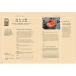 TAROT DE MARSEILLE GUIDE PRATIQUE ILLUSTRE de Jardinerie Bordeaux Libourne Gironde dans C022
