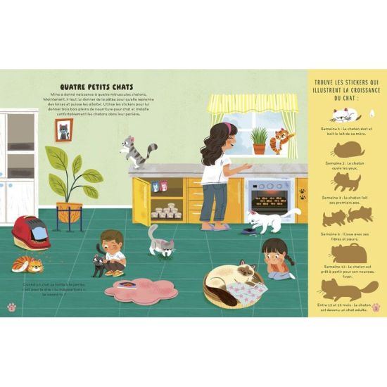 CAHIER DE STICKERS CHATS TOUT CE QUE TU DOIS SAV de Jardinerie Bordeaux Libourne Gironde dans C022