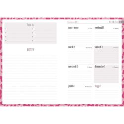 AGENDA CHAT 2027 de Jardinerie Bordeaux Libourne Gironde dans C022