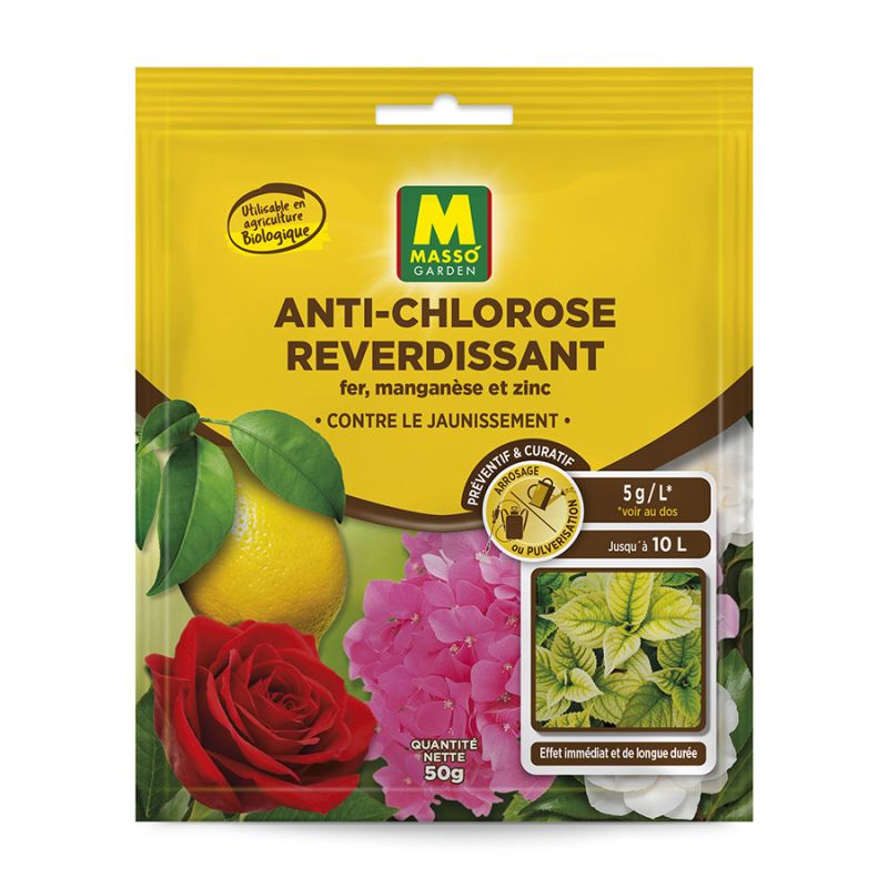 Reverdissant Anti-Chlorose 50G - Masso Garden pour Plantes en Santé