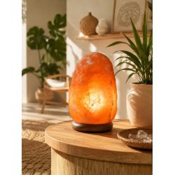 Lampe en Cristal de Sel - Piece de 4 a 6 kg de Herboristerie et Esotérisme à Libourne dans D040