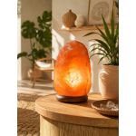 Lampe en Cristal de Sel - Piece de 4 a 6 kg de Herboristerie et Esotérisme à Libourne dans D040