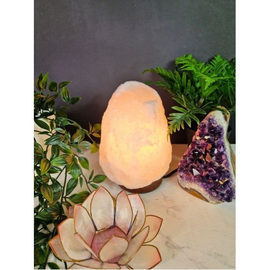Lampe en Cristal de Sel Blanc - Piece de 2 a 3 k de Herboristerie et Esotérisme à Libourne dans D040