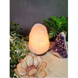 Lampe en Cristal de Sel Blanc - Piece de 2 a 3 k de Herboristerie et Esotérisme à Libourne dans D040