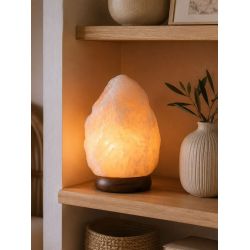 Lampe en Cristal de Sel Blanc - Piece de 2 a 3 k de Herboristerie et Esotérisme à Libourne dans D040