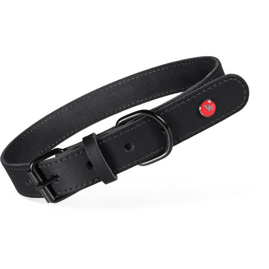 Collier cuir classique 30cm noir pour chien de Zolux - Produit pour animaux dans Z002