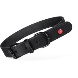 Collier cuir classique 30cm noir pour chien de Zolux - Produit pour animaux dans Z002