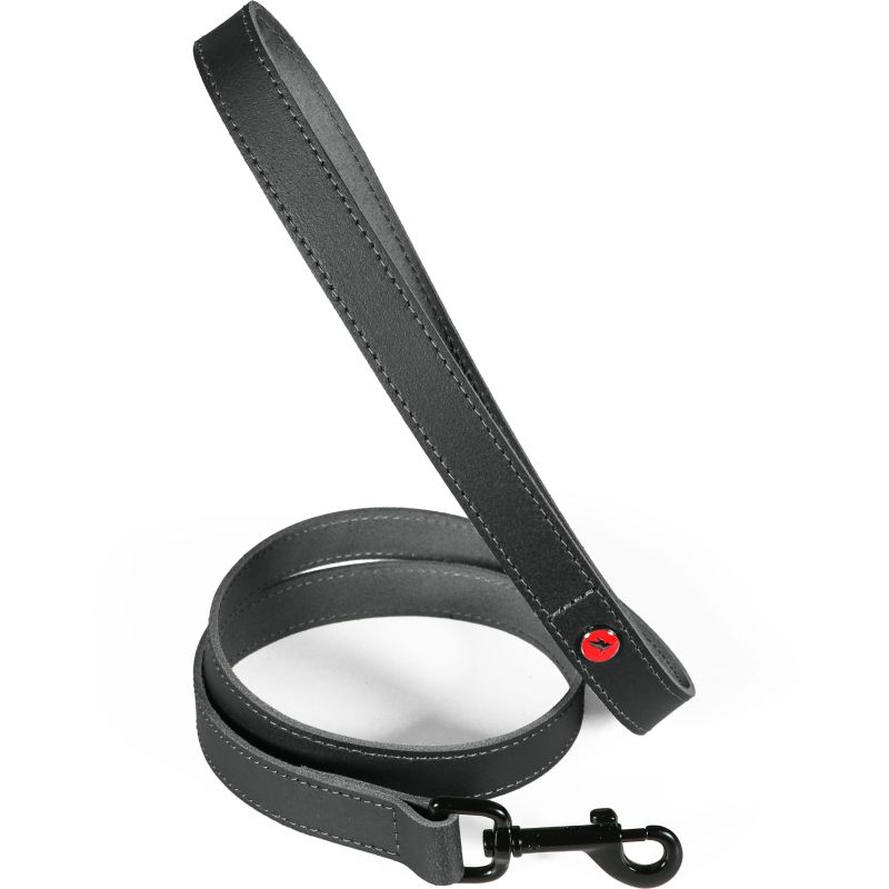 Laisse cuir classique 1m 20mm noir pour chien de Zolux - Produit pour animaux dans Z002