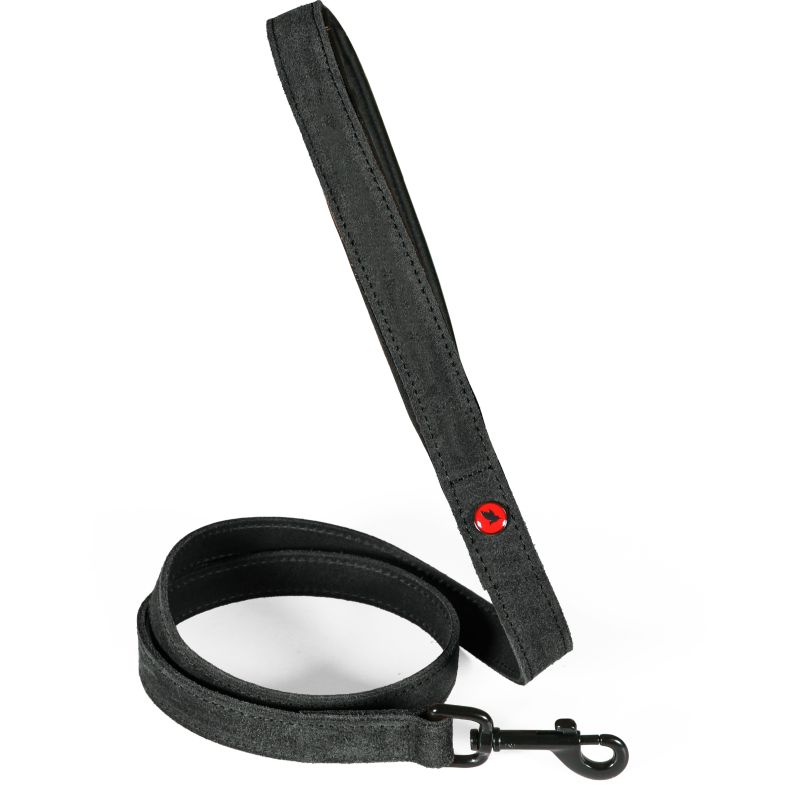 Laisse cuir conf 1m 20mm noir pour chien de Zolux - Produit pour animaux dans Z002
