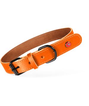 Collier cuir classique 30cm fauve pour chien de Zolux - Produit pour animaux dans Z002