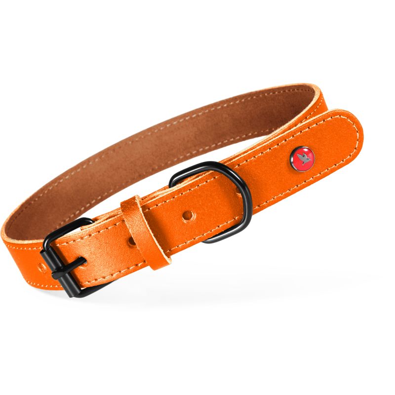 Collier cuir classique 35cm fauve pour chien de Zolux - Produit pour animaux dans Z002