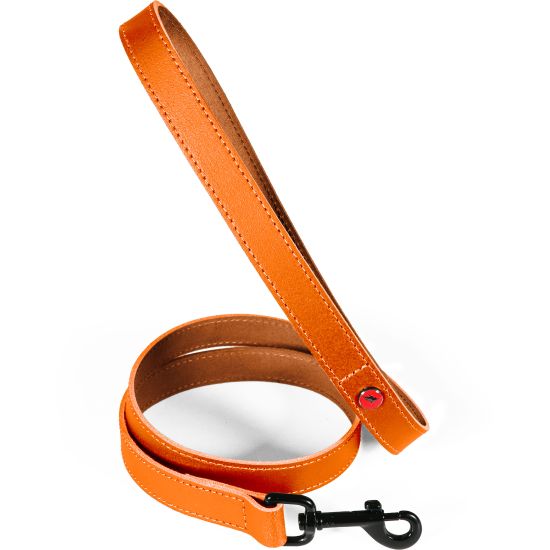 Lais cuir classique 1m 15mm fauv pour chien de Zolux - Produit pour animaux dans Z002