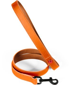 Laisse cuir classique 1m 20mm fauv pour chien de Zolux - Produit pour animaux dans Z002