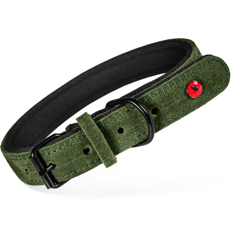 Collier cuir confort 40cm vert pour chien de Zolux - Produit pour animaux dans Z002