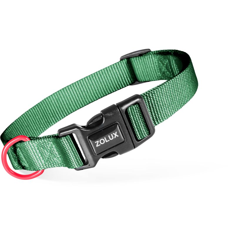 Collier nylon classique 25mm 37/58 sapin pour chien de Zolux - Produit pour animaux dans Z002