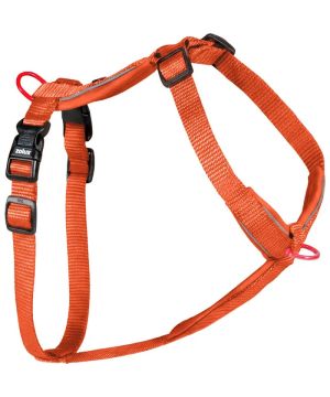 Harnais nylon premium 15mm 30/40 rouille pour chien de Zolux - Produit pour animaux dans Z002