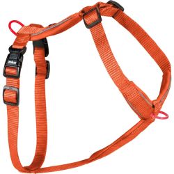 Harnais nylon premium 25mm 65/97 rouille pour chien de Zolux - Produit pour animaux dans Z002