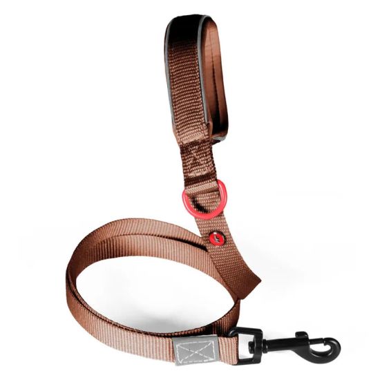 Laisse nylon premium 20mm 1,20m mocca pour chien de Zolux - Produit pour animaux dans Z002