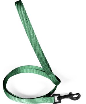 Laisse nylon classique 15mm 1,20m sapin pour chien de Zolux - Produit pour animaux dans Z002