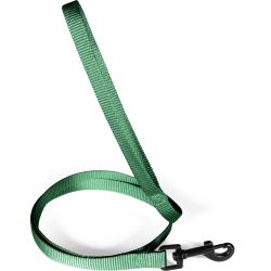 Laisse nylon classique 15mm 1,20m sapin pour chien de Zolux - Produit pour animaux dans Z002