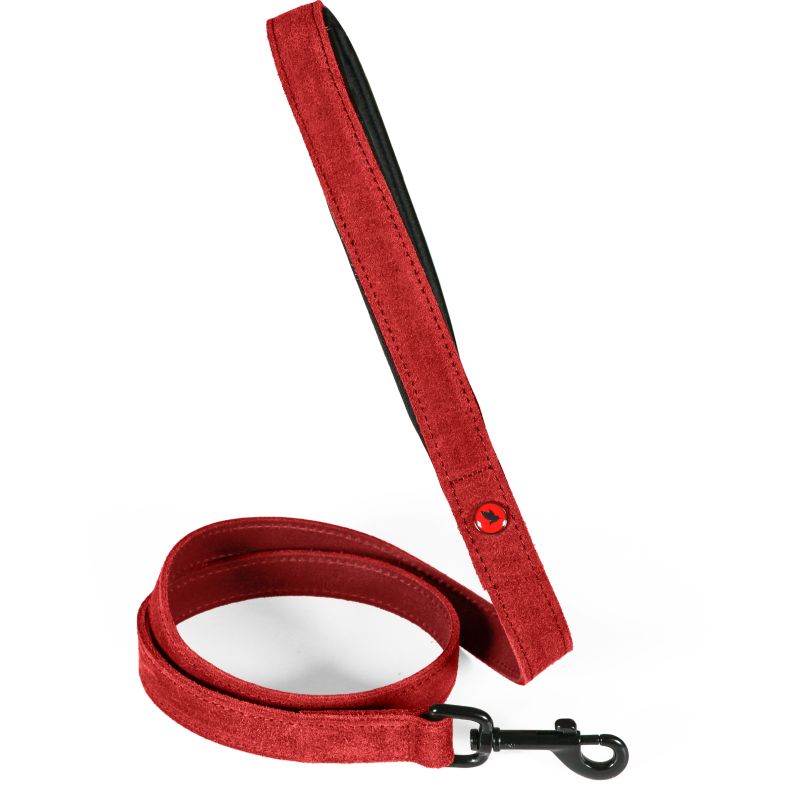 Laisse cuir conf 1m 20mm rouge pour chien de Zolux - Produit pour animaux dans Z002
