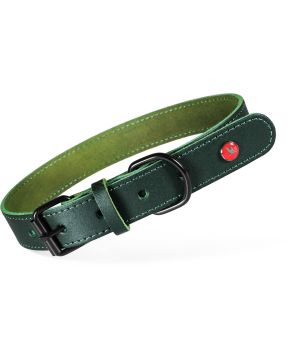 Collier cuir classique 55cm vert pour chien de Zolux - Produit pour animaux dans Z002