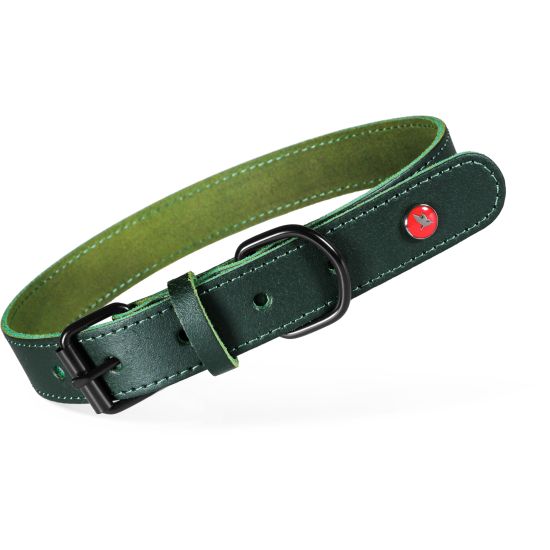 Collier cuir classique 70cm vert pour chien de Zolux - Produit pour animaux dans Z002