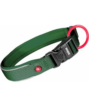 Collier nylon premium 20mm 40/45 sapin pour chien de Zolux - Produit pour animaux dans Z002