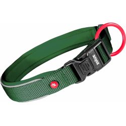 Collier nylon premium 25mm 45/50 sapin pour chien de Zolux - Produit pour animaux dans Z002
