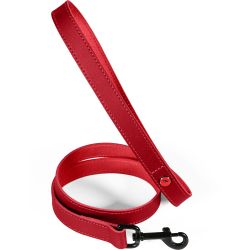 Lais cuir classique 1m 15mm gren pour chien de Zolux - Produit pour animaux dans Z002
