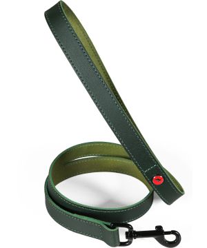 Lais cuir classique 1m 15mm vert pour chien de Zolux - Produit pour animaux dans Z002